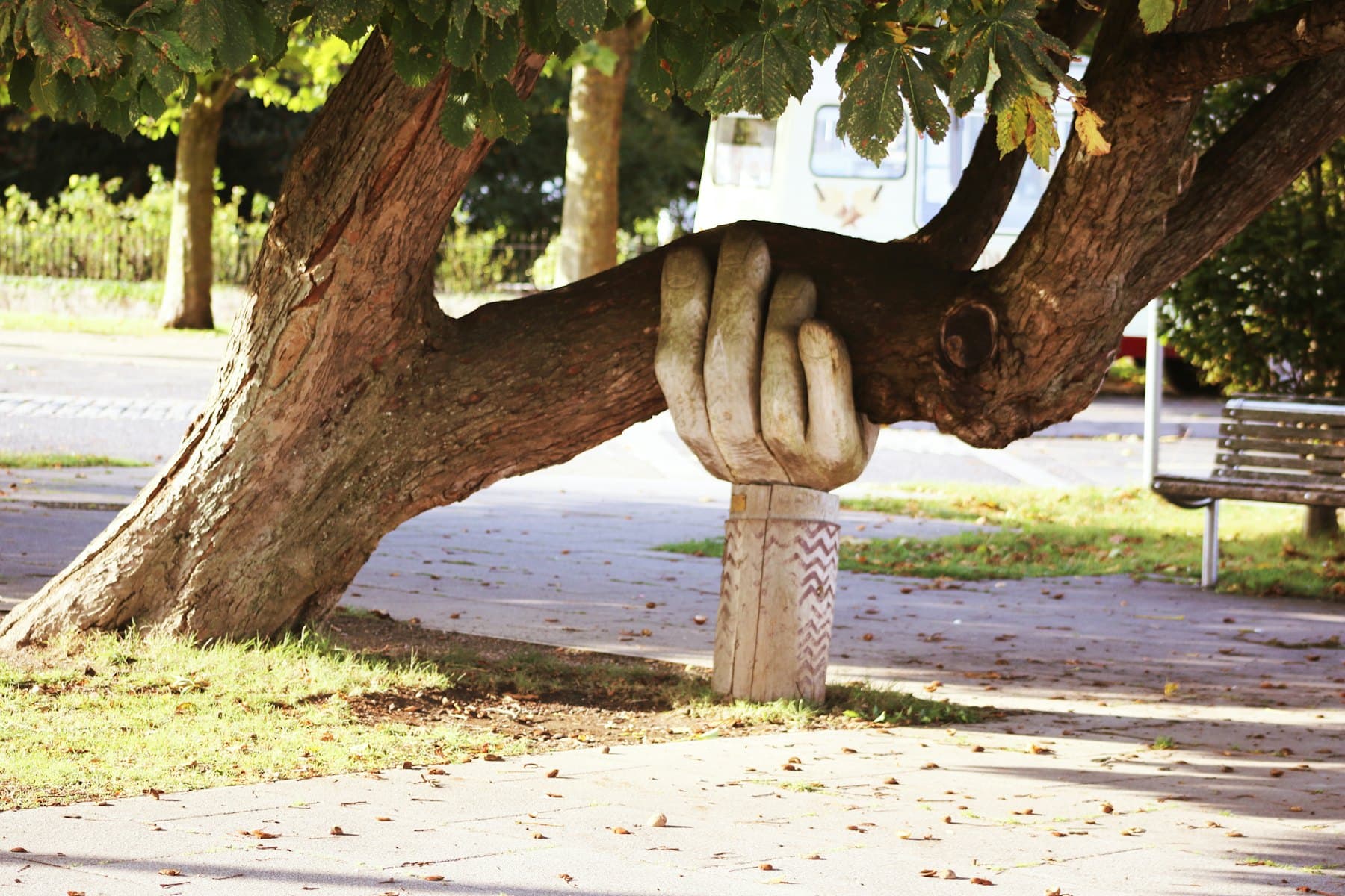 A carved wooden hand supporting the branch of a large tree